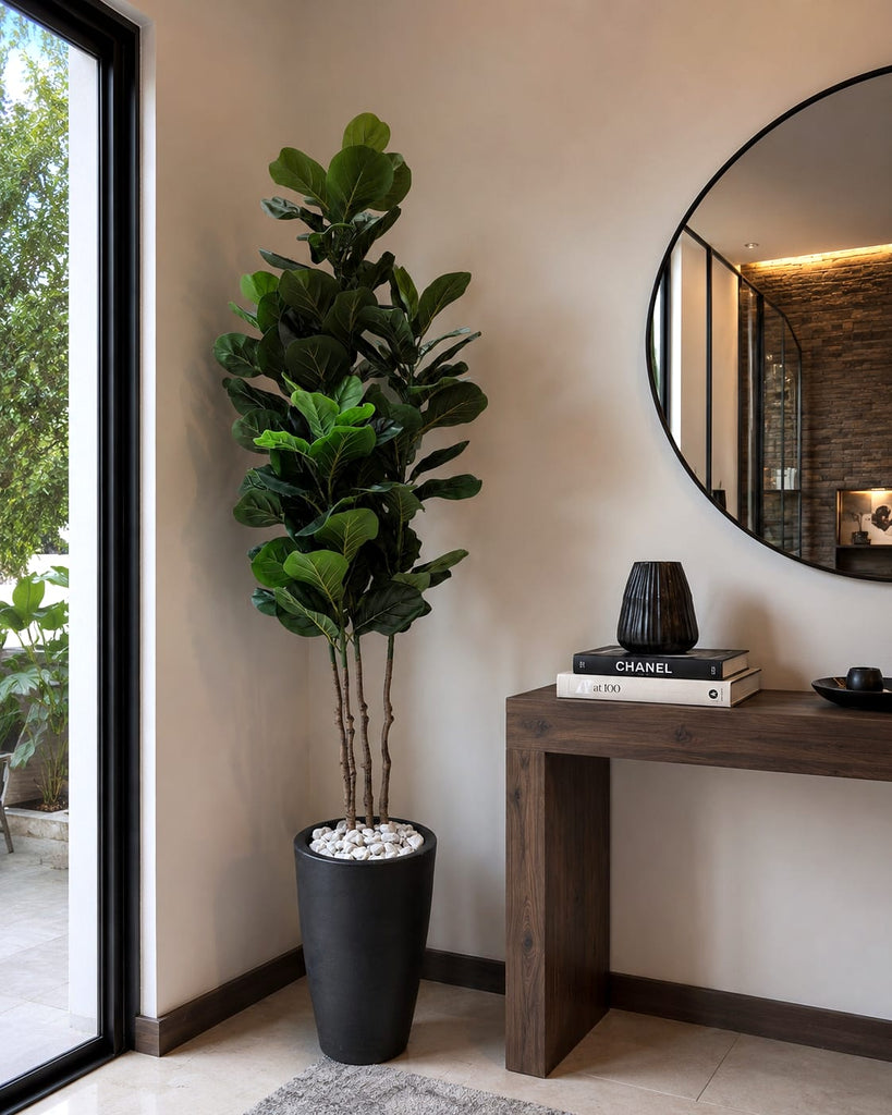 Árbol Ficus
